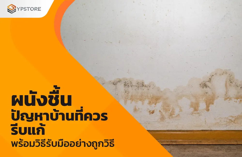 ผนังชื้น