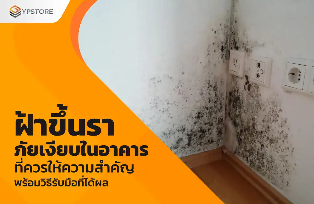 ฝ้าขึ้นรา